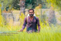ilustrasi petani di sawah