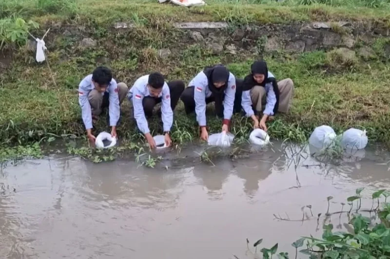 dok. jogja.antaranews.com