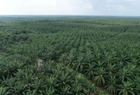 dok. industri.kontan.co.id