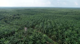 dok. industri.kontan.co.id