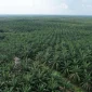 dok. industri.kontan.co.id