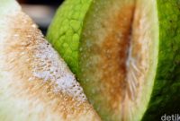 dok. health.detik.com